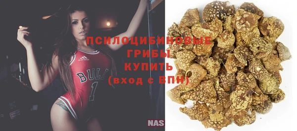 ECSTASY Аркадак