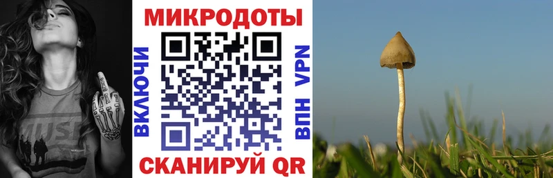 Псилоцибиновые грибы ЛСД  Омутнинск 