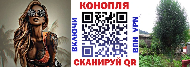 Марихуана ГИДРОПОН  kraken ссылки  Омутнинск 